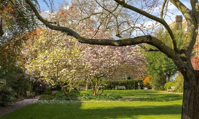 Недвижимость Paultons Square, Chelsea: 7