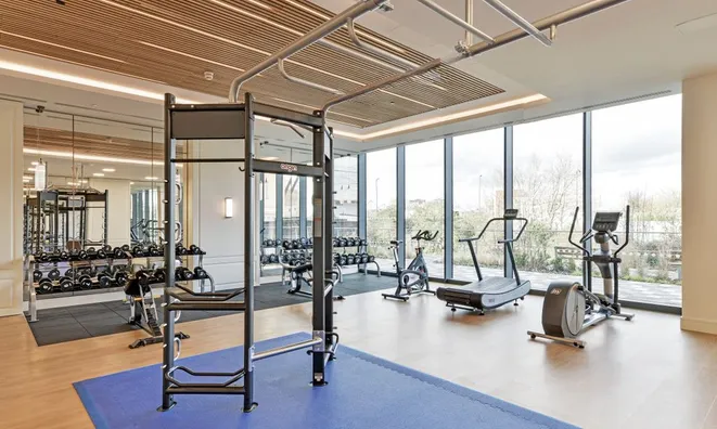 Недвижимость Harbour Avenue, Chelsea: 5