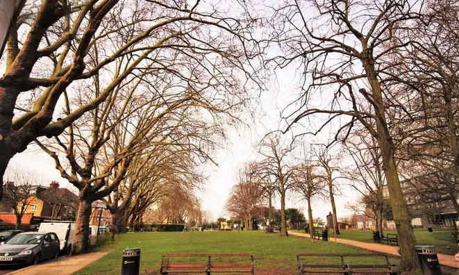 Недвижимость Fortune Green Road, West Hampstead: 3