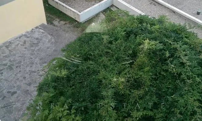 Недвижимость Трёхкомнатная квартира, Центр: 46