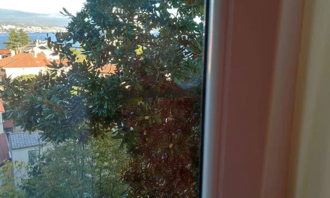 Недвижимость Трехкомнатная квартира Центр: 2