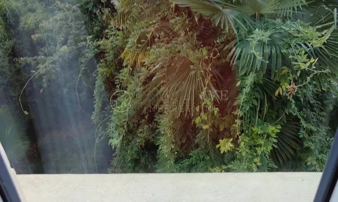 Недвижимость Трехкомнатная квартира Центр: 33