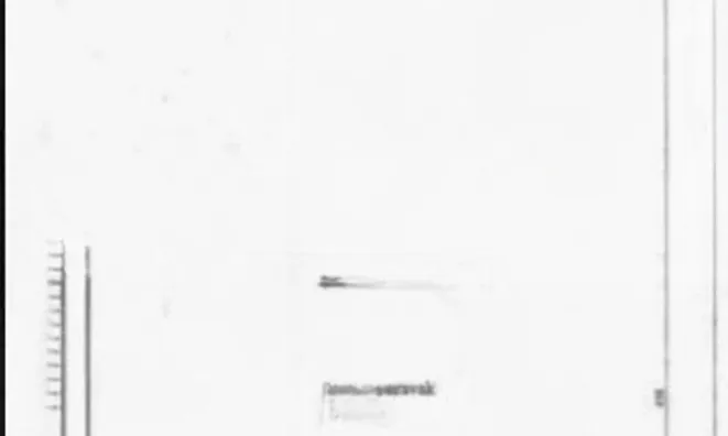 Недвижимость Квартира Опатия Центр: 21