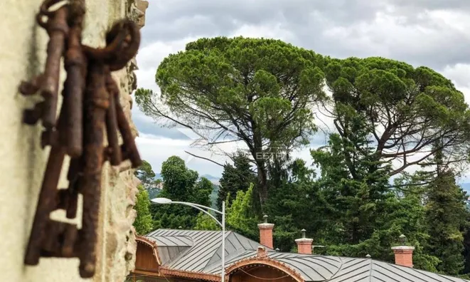 Недвижимость Трехкомнатная квартира в Центре: 17