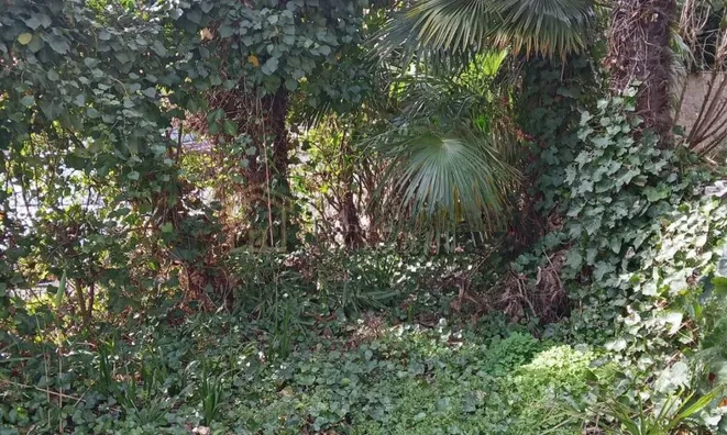 Недвижимость Трехкомнатная квартира в центре: 15