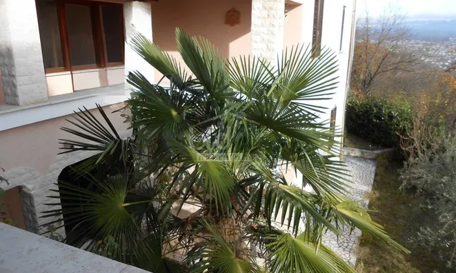 Недвижимость Семейный дом в Вепринеце: 8