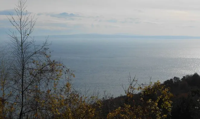 Недвижимость Семейный дом в Вепринеце: 10