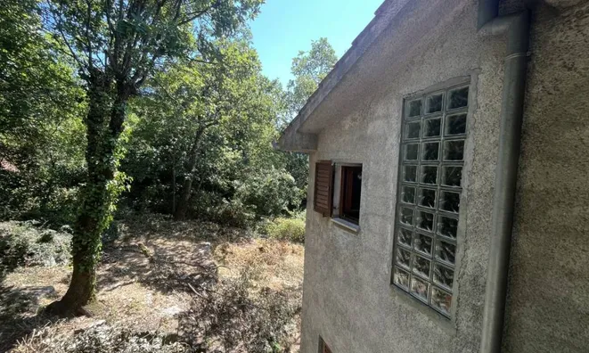 Недвижимость Семейный дом Вепринац: 7