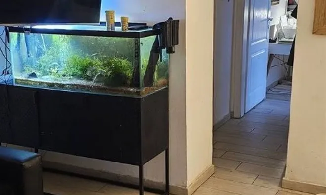 Недвижимость Четырехкомнатная Квартира в Ичичи: 16