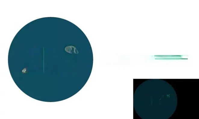 Недвижимость Apartment 3 bedrooms for sale in Luxembourg-Merl: 1