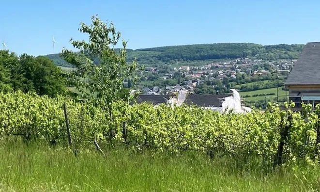 Недвижимость Detached house for sale in Schengen: 3