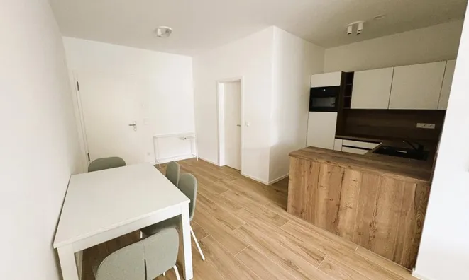 Недвижимость Apartment 1 bedroom for sale in Luxembourg-Limpertsberg: 4