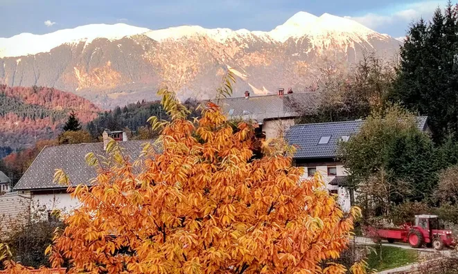 Недвижимость Дом Верхняя Горье: 1