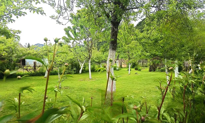 Недвижимость Дом Верхняя Горье: 9