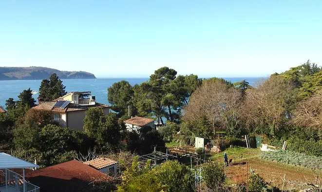 Недвижимость Дом с террасой в центре Изолы: 26