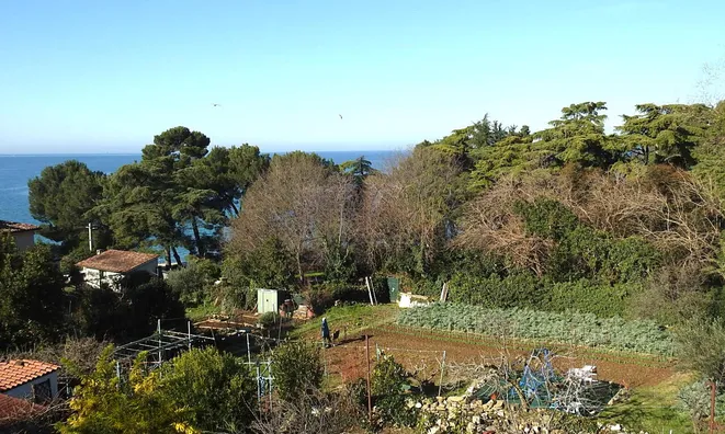 Недвижимость Дом с террасой в центре Изолы: 27