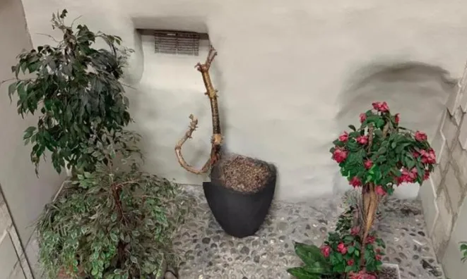 Недвижимость Furnished flat 3 rooms: 8