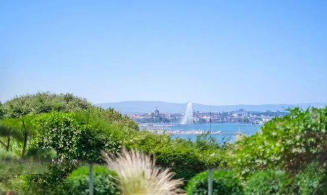 Недвижимость Apartment 7 rooms: 1