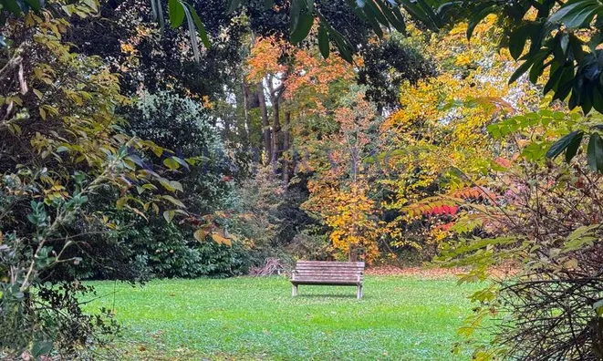 Недвижимость Apartment 3 rooms: 3