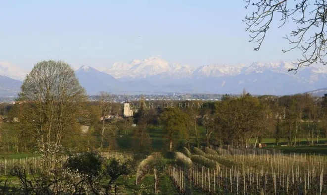 Недвижимость Single house: 3