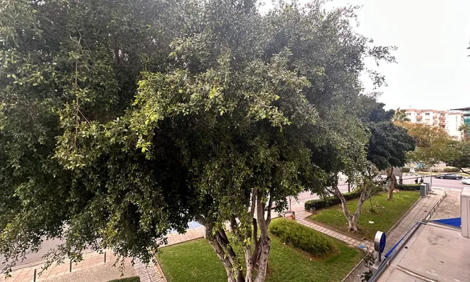 Недвижимость 3 Bedroom Apartment For sale in Neapolis, Limassol: 13