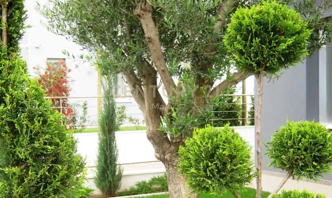 Недвижимость 5+1 Bedroom Beachfront Villa for Sale in Limassol: 6