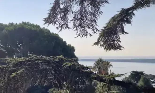 Недвижимость Villa Cannes Californie: 3