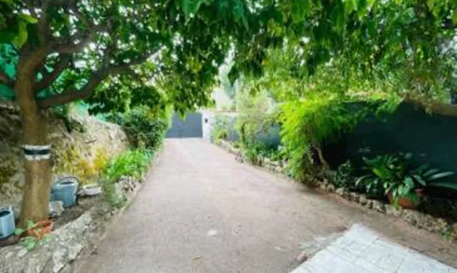 Недвижимость Villa Cannes: 15