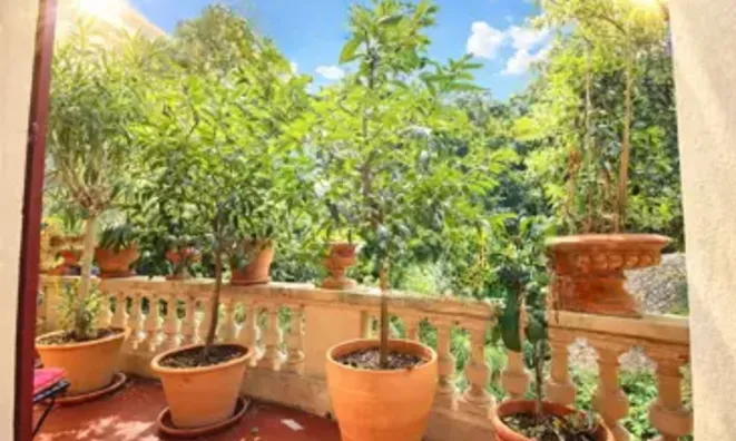 Недвижимость Villa Pointe Croisette: 3