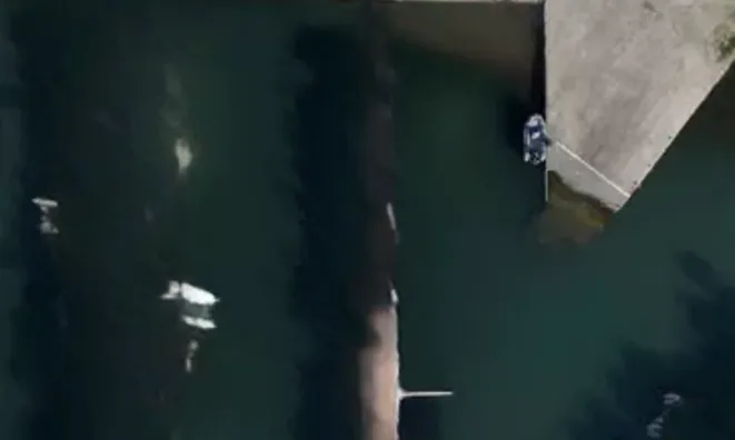 Недвижимость House Cannes: 14