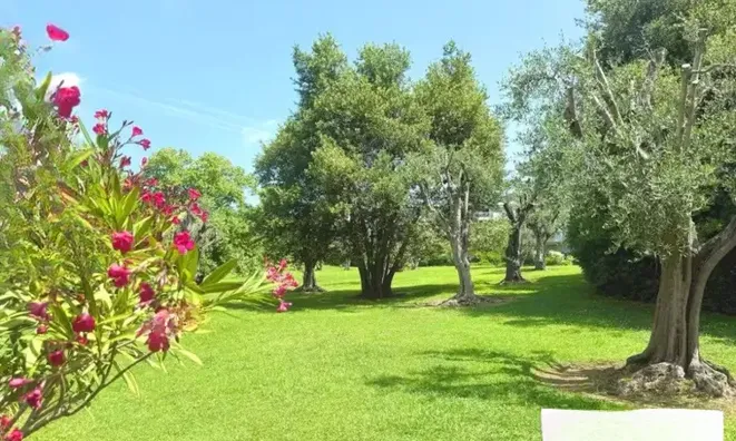 Недвижимость House Cannes: 1