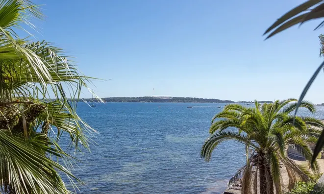 Недвижимость Villa Cannes: 5