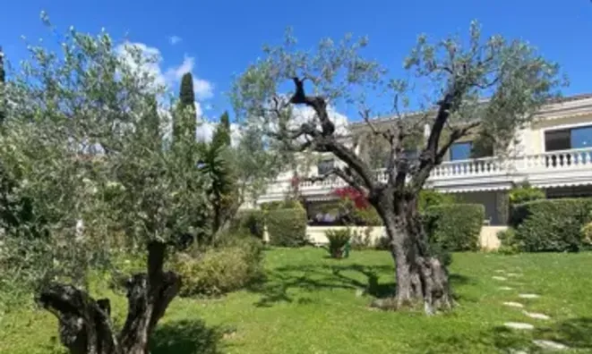 Недвижимость Home République Cannes: 11