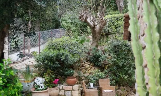 Недвижимость Villa Cannes: 18