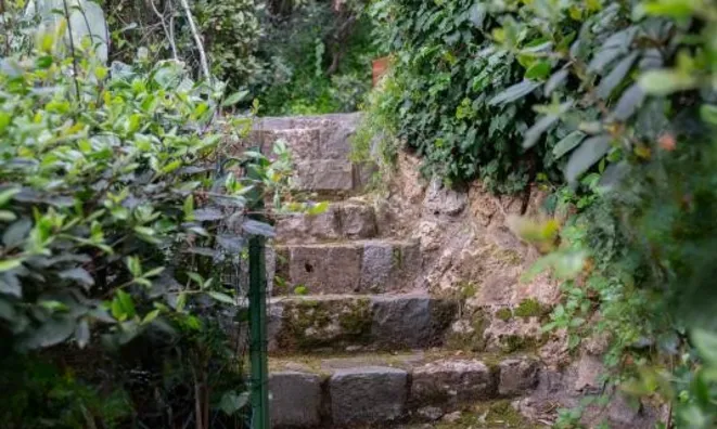 Недвижимость Villa Cannes: 19