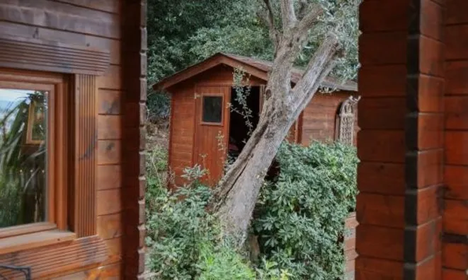 Недвижимость Villa Cannes: 28