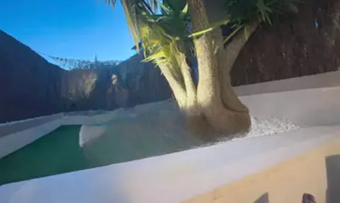 Недвижимость Estate Maure Vieille: 12