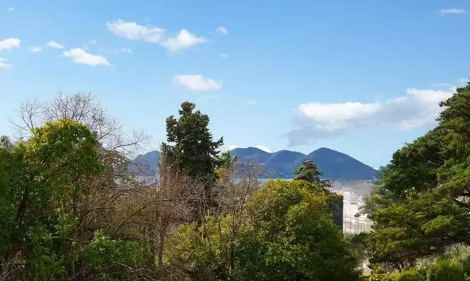 Недвижимость Villa Cannes: 4