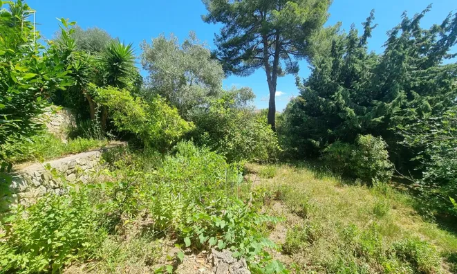 Недвижимость Villa Vallauris: 13