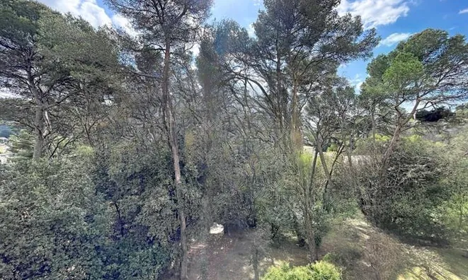 Недвижимость Villa Cannes: 16