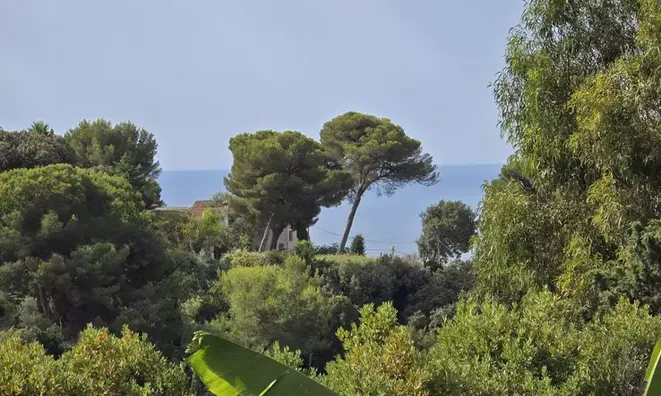 Недвижимость Villa Le Cannet: 17