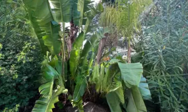 Недвижимость Villa Croix des Gardes: 15