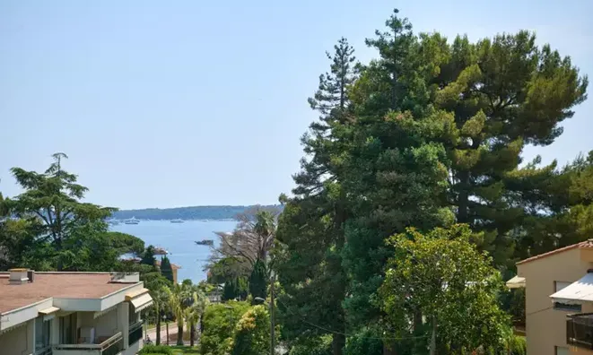 Недвижимость Villa Cannes: 11