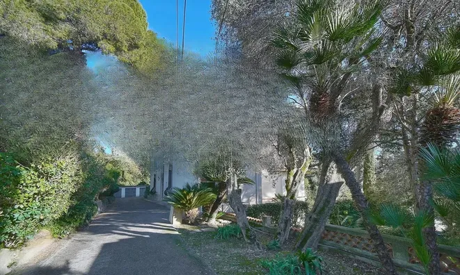 Недвижимость Maison Cannes: 24