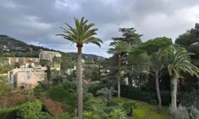 Недвижимость Villa Dolce Le Cannet: 3