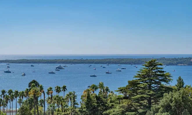 Недвижимость Estate Cannes: 10