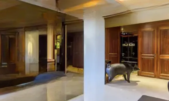 Недвижимость Estate Cannes: 5