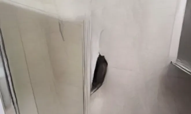 Недвижимость Villa Maure Mandelieu: 14