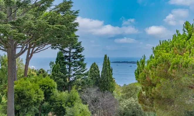 Недвижимость Villa Cannes Californie: 5