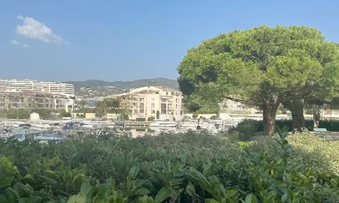 Недвижимость Villa La Roubine: 19